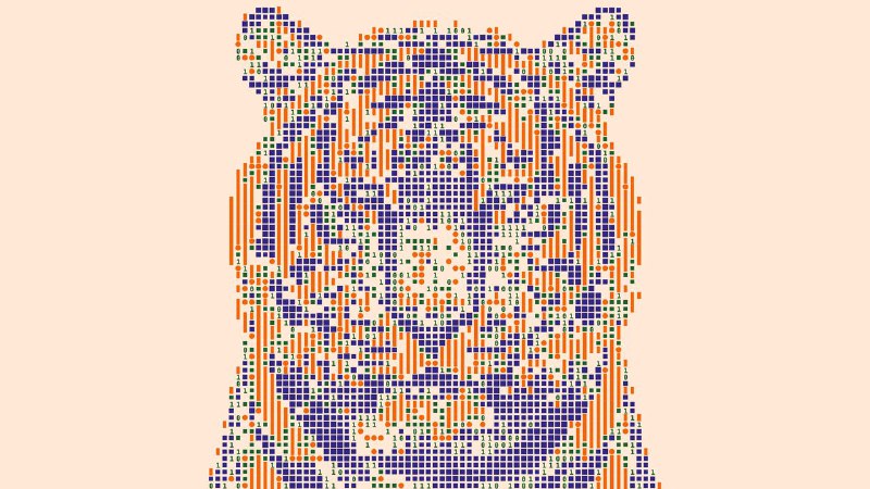 The flaws in India’s AI plans