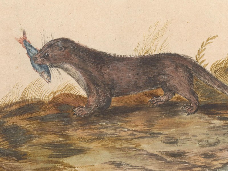 顺应变化，重申标准：《少数派创作手册》修订说明 - 少数派