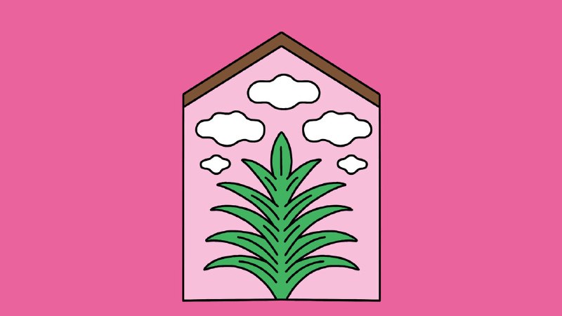 Do houseplants improve air quality?