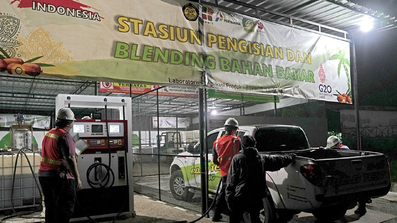 The energy shock triggers an Asian dash for biofuels