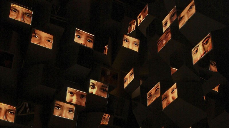 The history of the human face is more than skin deep