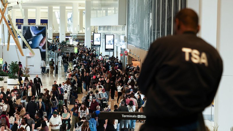 Can ICE unfreeze America’s airports? | Latest US politics news from The Economist