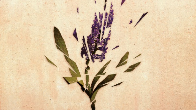 Each year tens of thousands of Americans accidentally kill