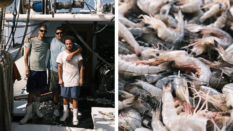 Shrimpers are the latest group seeking protection from Washington