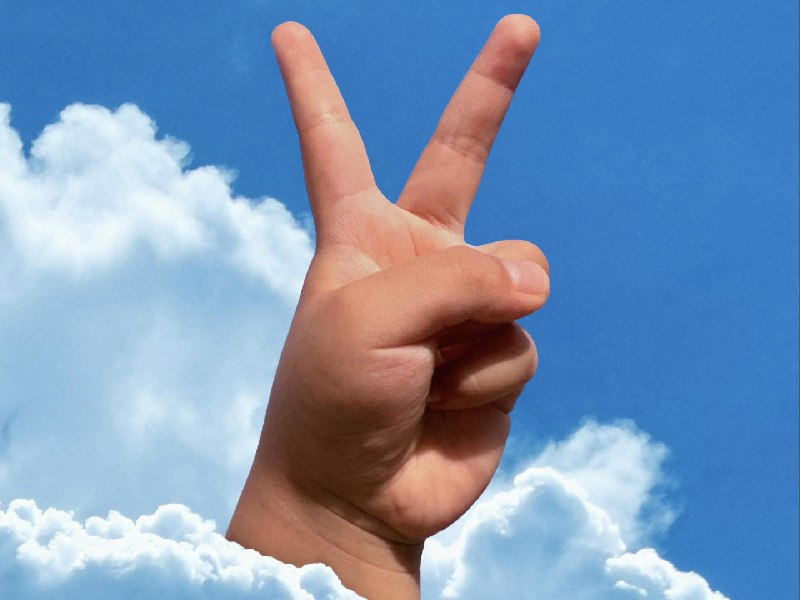 飞傲 x FM3.14｜2026 第一季度音乐精选：这耐听的 8 张专辑包办你的春天 - 少数派