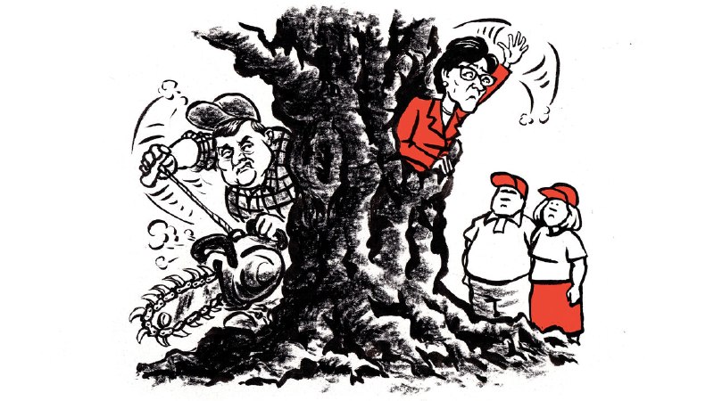 As goes Maine, so goes the Senate