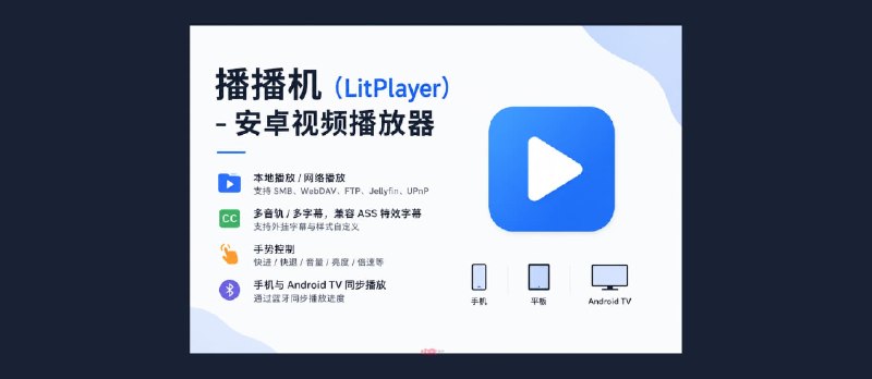 播播机（LitPlayer） – 安卓视频播放器，支持TV端&nbsp; - 小众软件