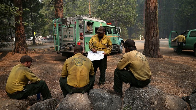 Trump Guts the Forest Service Ahead of Wildfire Season