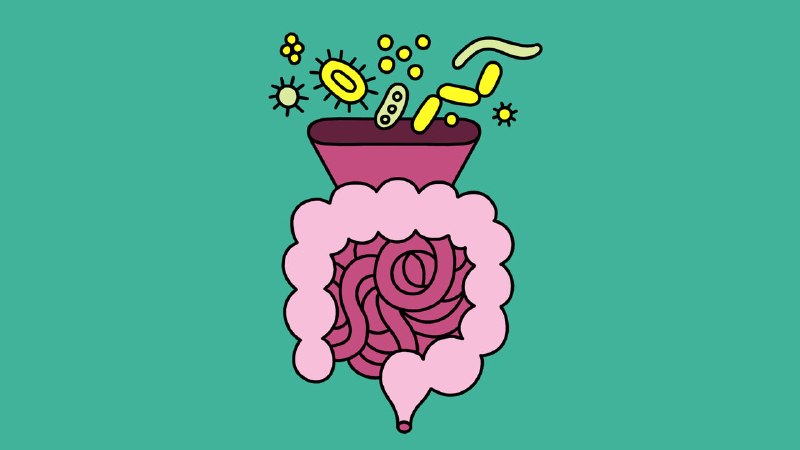 Can you hack your gut microbiome?
