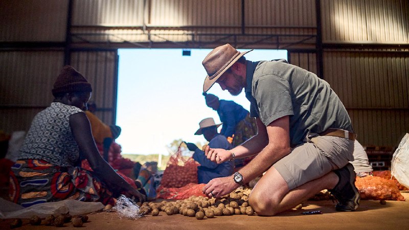 White Zimbabweans return to farming