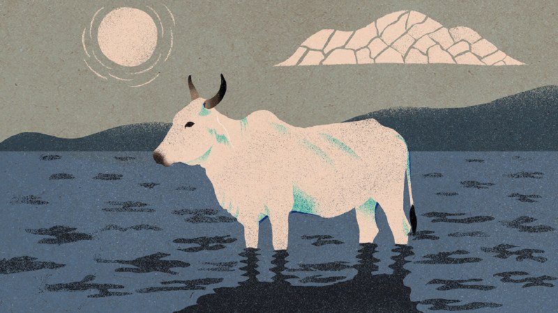 India’s monsoon is getting weirder