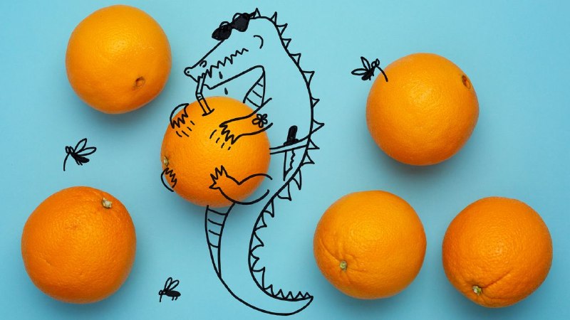 Kia Damon’s Audacious Florida Cooking