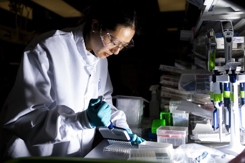 mRNA癌症疫苗取得突破进展，莫德纳股价大涨
