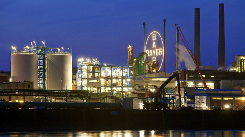 Bayer spies an end to a long legal battle
