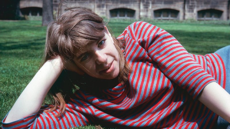 Elaine Reichek’s Needlepoint Revolution