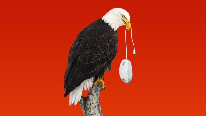 AI has granted America vast new power