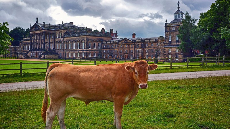 A posh and peculiar British magazine is thriving