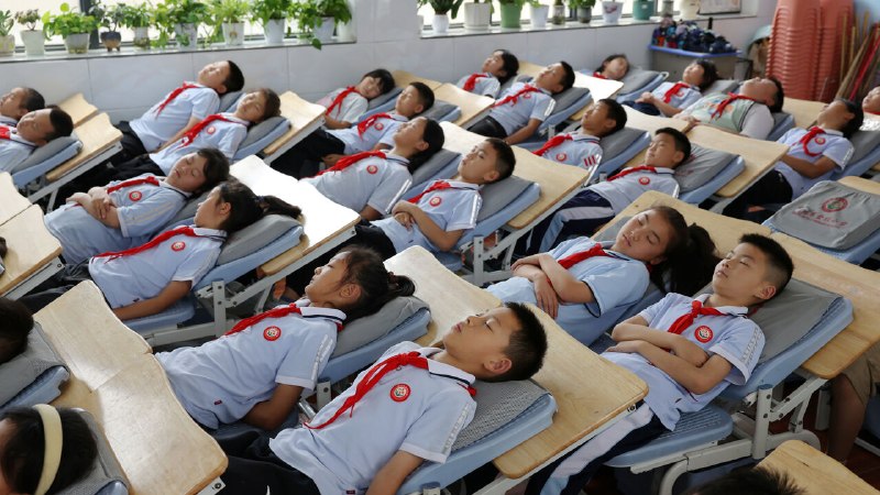 China’s kids rank near the top in global school tests