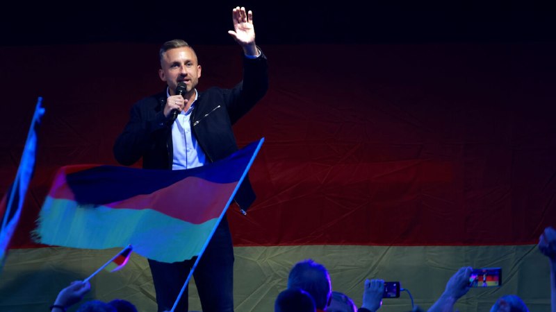 How the Alternative for Germany would govern