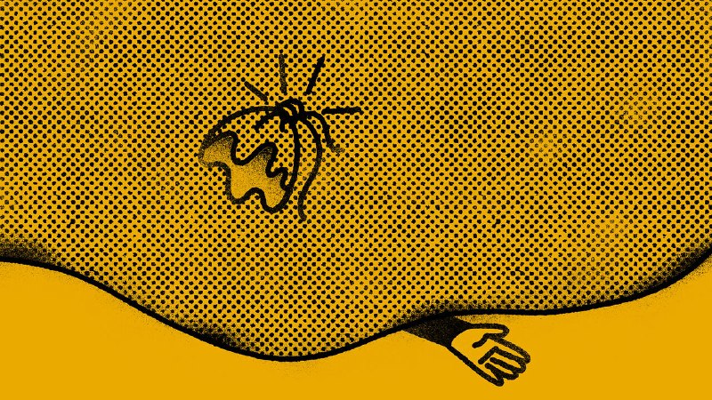 Investors in Situational Awareness deserved to lose their shirts