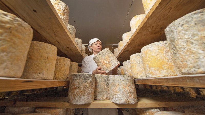 Britain has more cheeses than France. The whey ahead may be harder
