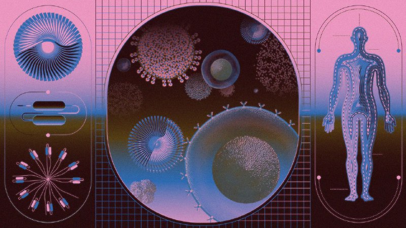 Could a Cancer Treatment Cure Autoimmune Diseases?