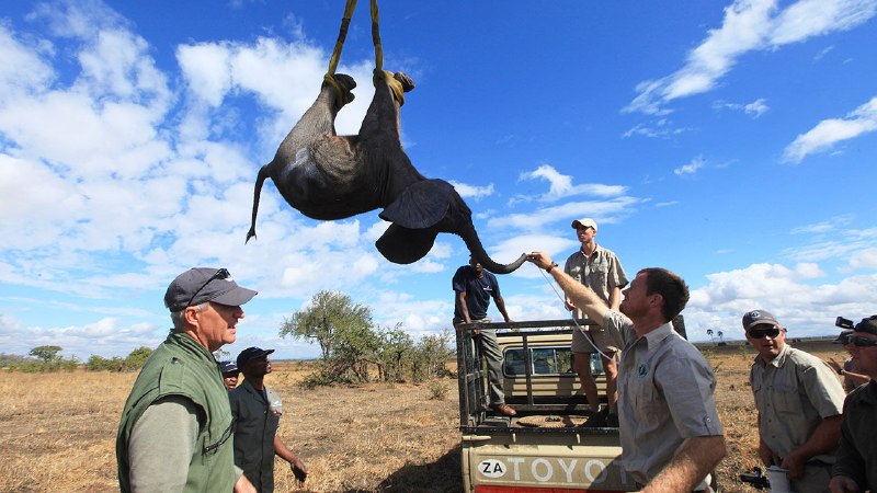 A deadly conflict in Malawi raises questions about conservation