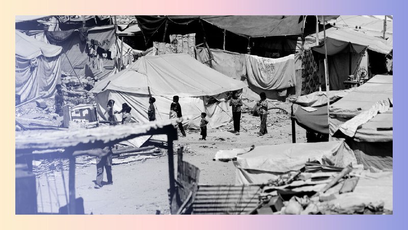 TikTok humanitarianism