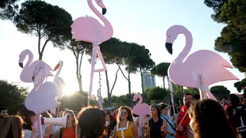 Albania’s flamingo protests target Donald Trump’s son-in-law