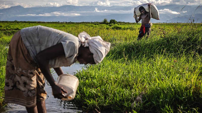 Can Africa take the Asian path to growth?